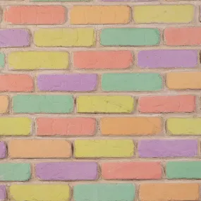 Bricks Rainbow B04