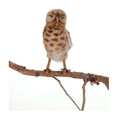 Burrowing Owl Stuffed Animal