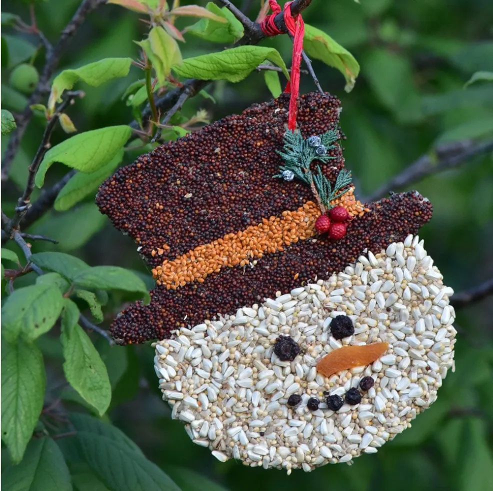 Frosty Bird Seed Christmas Cookie