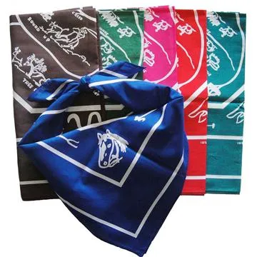 King Ranch Bandana