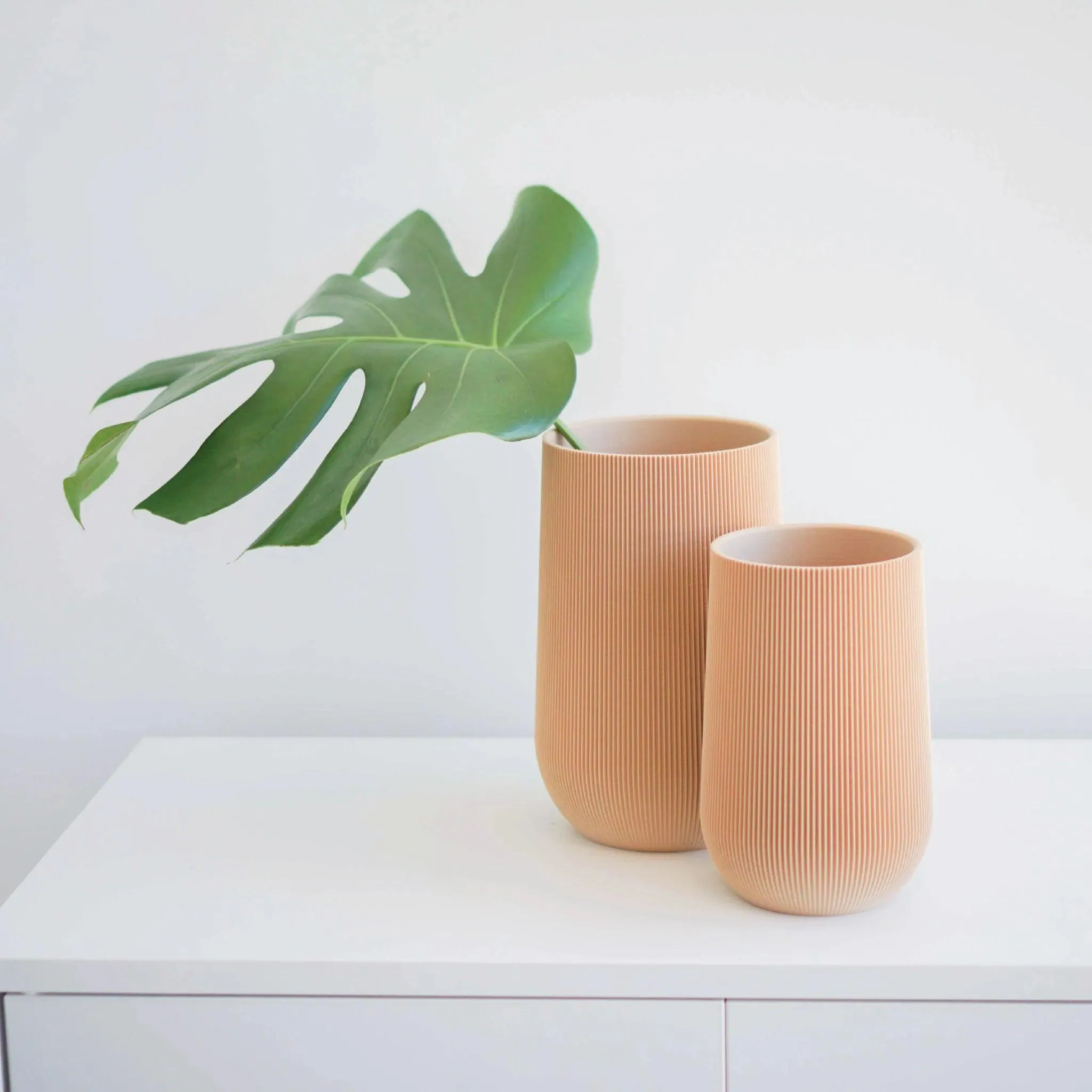 Sequoia Vase by Conifer Homewares